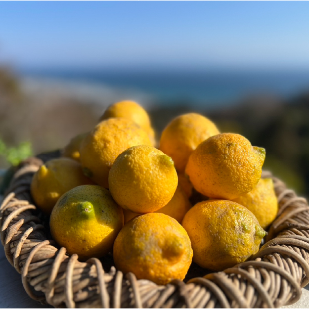 リスボンレモン